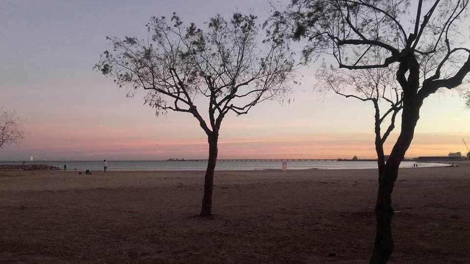 Mediterrania Marina Sagunto Rum bild