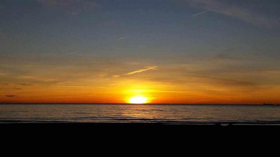 Mediterrania Marina Sagunto Rum bild