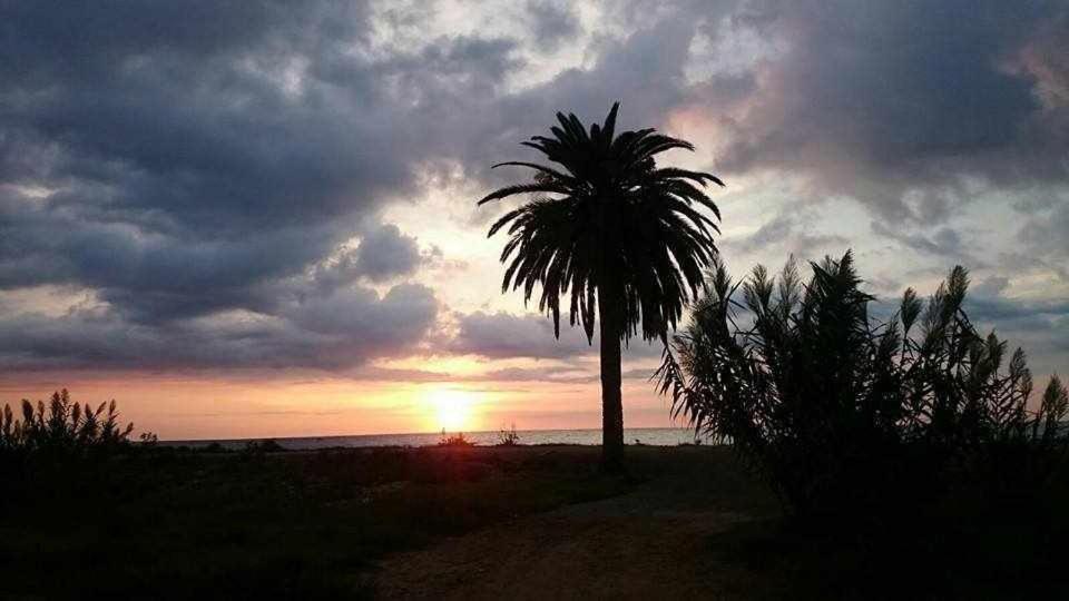 Mediterrania Marina Sagunto Rum bild