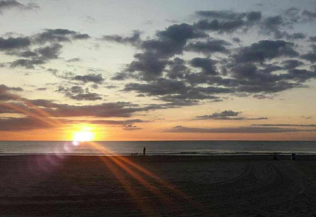 Mediterrania Marina Sagunto Rum bild