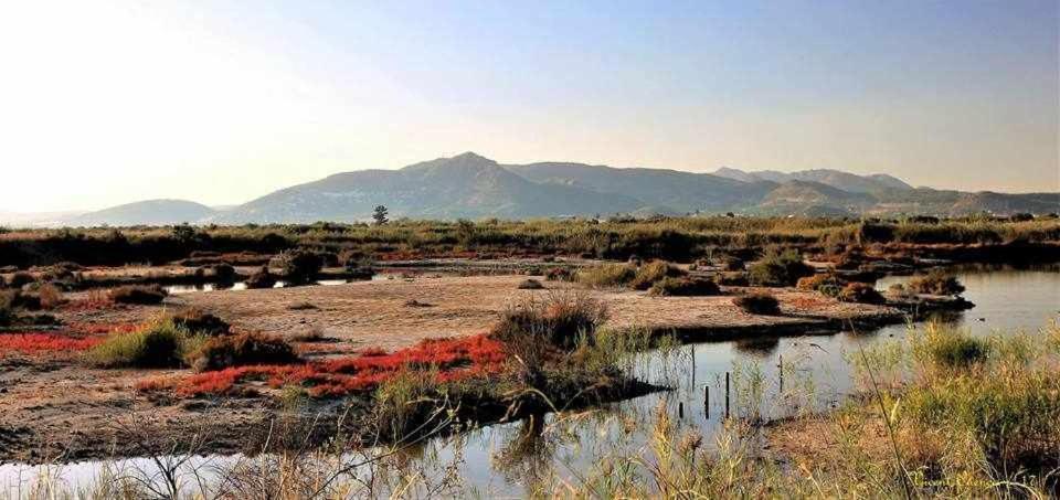 Mediterrania Marina Sagunto Rum bild