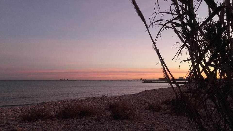 Mediterrania Marina Sagunto Rum bild